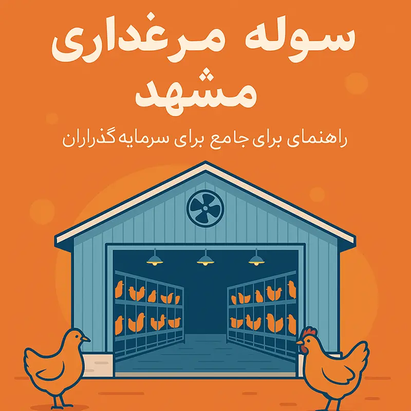 سوله مرغداری مشهد ساخت سوله بارون
